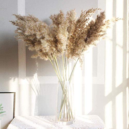 Natural Dried Flowers Brown Bouquet, Boho Decoration Home/Bedroom/Living Room/Wedding Decoration (30pcs)