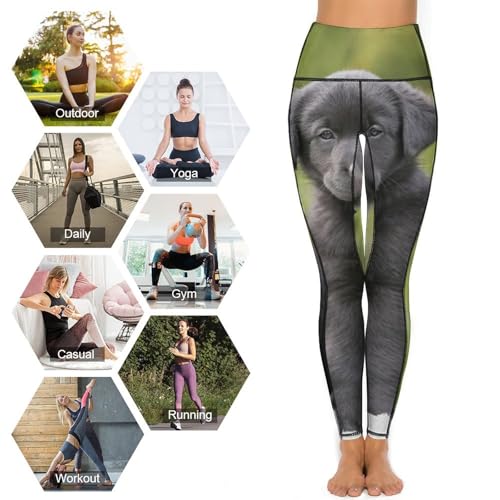 Legging sport taille haute femmes contre les irritations pantalon gym S