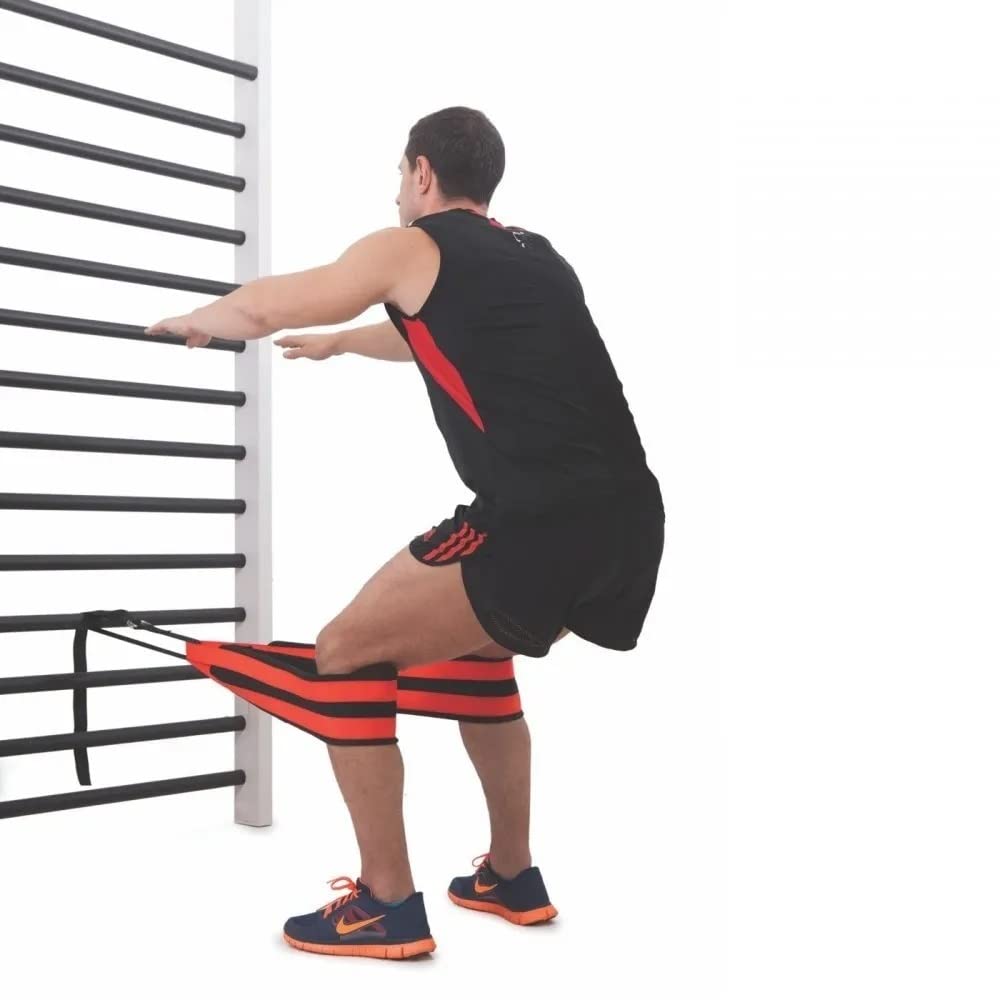 CANNON - Cintura Russa per Fitness, Training Gym, Palestra, Allenamento Muscolare e Crossfit