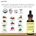 PURA D'OR Organic Scar & Stretch Mark Treatment Oil (1oz) For Skin - With Rosehip, Wheat Germ, Argan, Tamanu, Carrot, Rosemary, Lavender, Geranium, Patchouli, Sage