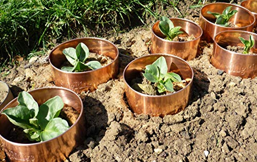 Preisvergleich Produktbild Slug Rings Schneckenring Kupfer, 6er Set