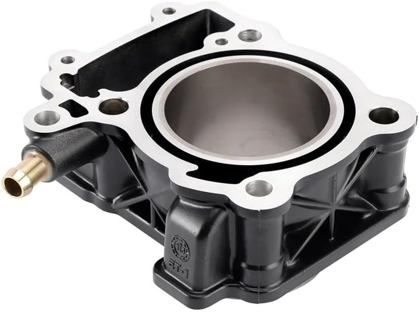 250cc 77mm Cylinder Piston Gasket Kit for Bajaj Pulsar NS200 RS200 AS200 2012-2023