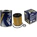 Produktbild Original SCT Ölfilter SH 4788 P + SCT Motor Flush Motorspülung