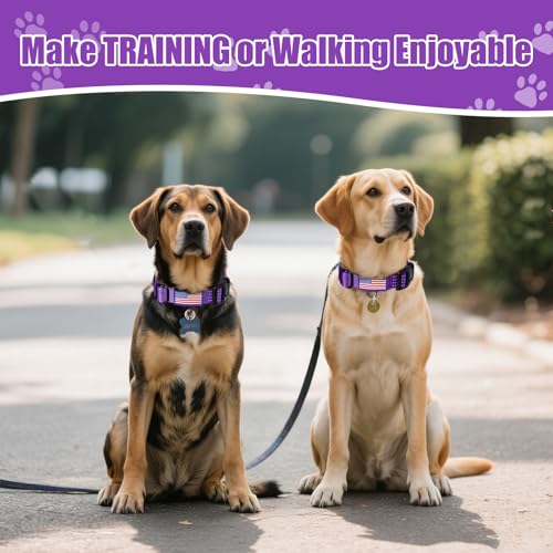 Image of Martingale Dog Collar Reflective NO Pull with USA Flag, L,Purple | Escape Proof without choking,Adjustable Limited Slip Collar with Quick Release Buckle, Nylon Walking Collar for S M L Dogs