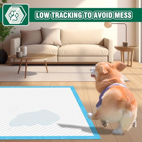 Image of IMMCUTE Dog Pee Pads Extra Large, 36 inch x 44 inch, 30 Ct, Jumbo-Size Pee Pads for Dogs, Thicken Puppy Pads XL Pet Training Pads, Super Absorbent & Leak-Proof Potty Pads for Dogs