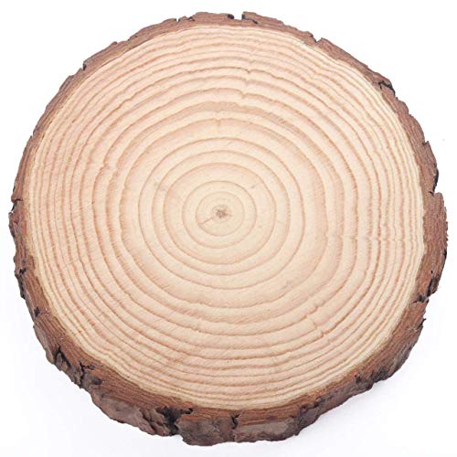 Natural Wood Slices, Round Pinewood Slabs, 7 To 8 Inch, Rustic Tree Bark Slice, Weathered Log Disc, Outdoor Country Barn Wedding Table Centerpiece (Pack Of 4) #TOP3