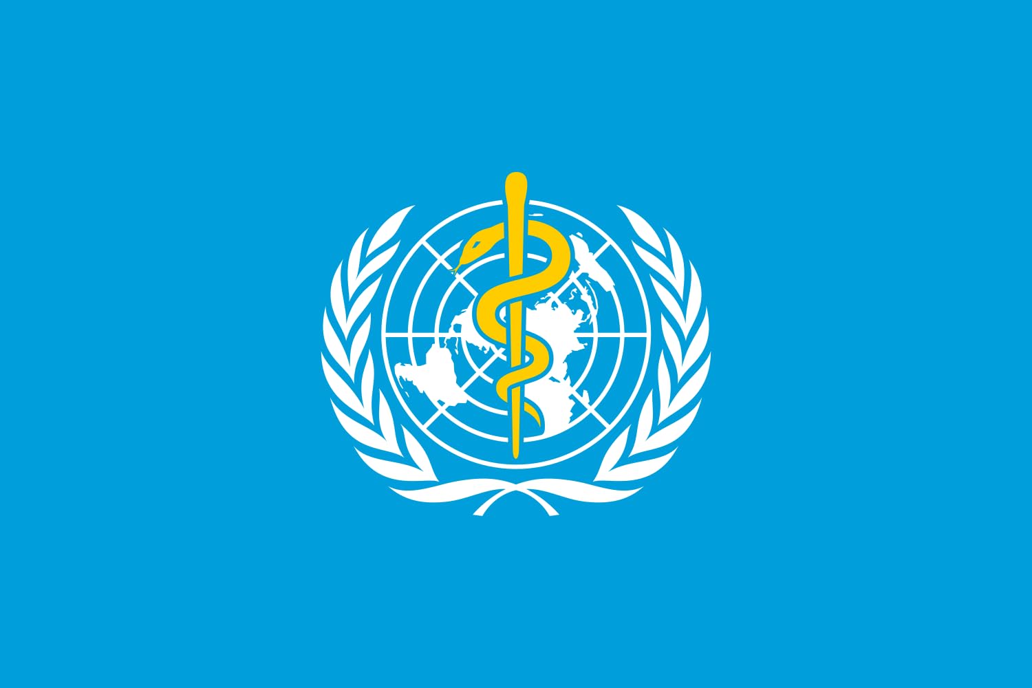 Drapeau Organisation mondiale de la santé taille M pour mât extérieur