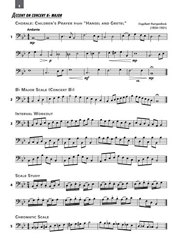 Accent On Achievement, Book 3, Bassoon (Accent On Achievement, Bk 3) #TOP3