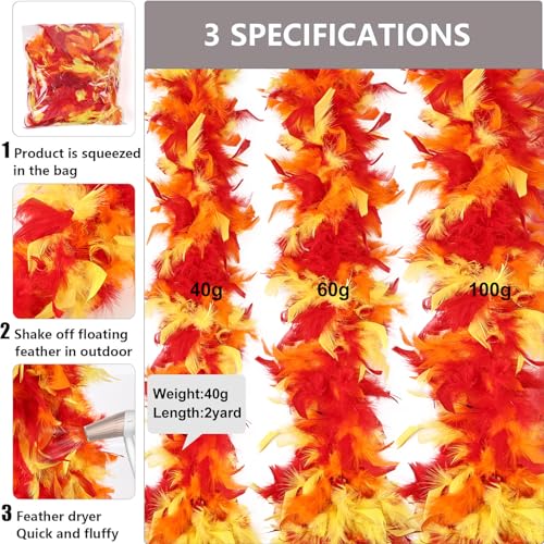 View 4
