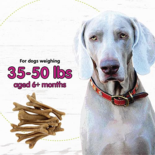 Fido Belly Bones For Dogs, Yogurt Flavored Medium Dog Dental Treats - 8 Treats Per Pack (3 Pack) - For Medium Dogs (Made In Usa) - Plaque And Tartar Control For Fresh Breath, Digestive Health Support #TOP4