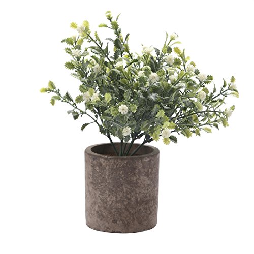 HC STAR Artificial Plant Potted Mini Fake Plants Indoor Pot Fake Potted Plants Decorative Lifelike Artificial Plants & Flower Green Plants for Farmhouse Office Bathroom Shelf Desk Table Home Decor
