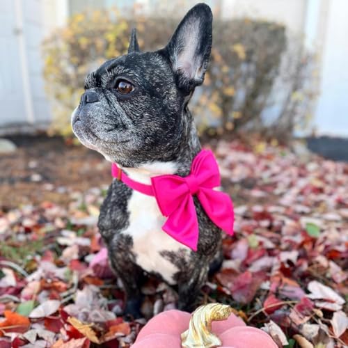 Maca Bates Hot Pink Dog Collar with Cute Rose Red Solid Sailor Bow Tie,Small Girl Boy Dogs,Girly Adjustbale Durable Breakaway Soft Collars with Bowtie for Female Male Puppy,Pet with Metal Buckle - Image 4