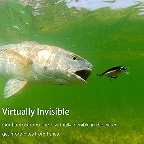 Fishfun 100 % reine Fluorkohlenstoffbeschichtete Angelschnur, 457 m, 1,3 kg - 11,3 kg, abriebfest, praktisch unsichtbar… – Bild 6