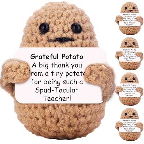 Teacher Gifts Bulk (5-Pack) - Cute Crochet...