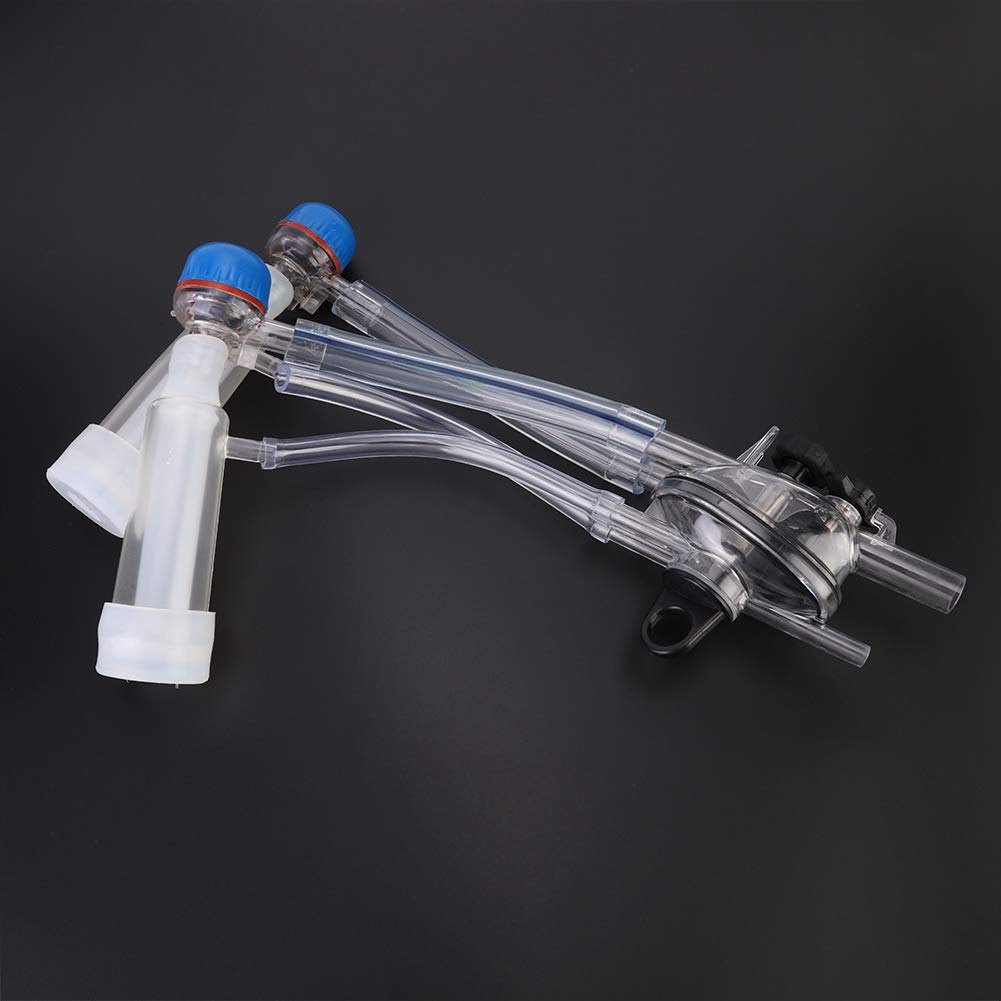 岩間良充先生の『岩間式活性導法』DVD 整体DVD【岩間式活性導 岩間式