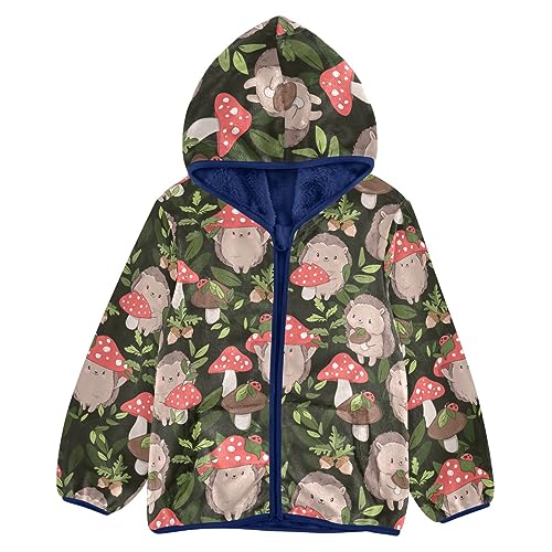 Aflyko Boys Fleece Cartoon Hedgehog Mushroom Ladybug Forest Zip-Up Hoodie Long Sleeve Outerwear Soft Coat Girls Hooded Jacket Kids Fashion Outwear Warm Sweatshirt 6T