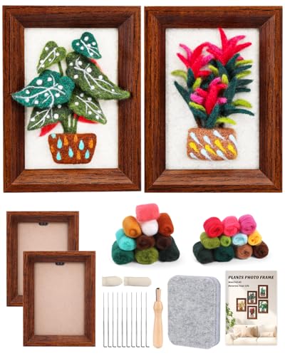 Image of OEHPICC Needle Felting Kit for Beginners with Frame, 2 Pcs Potted Plants Needle Felt Painting Kit, with Felting Needles, Felting Pad, Fabric & Guide for Home Decor & DIY Art