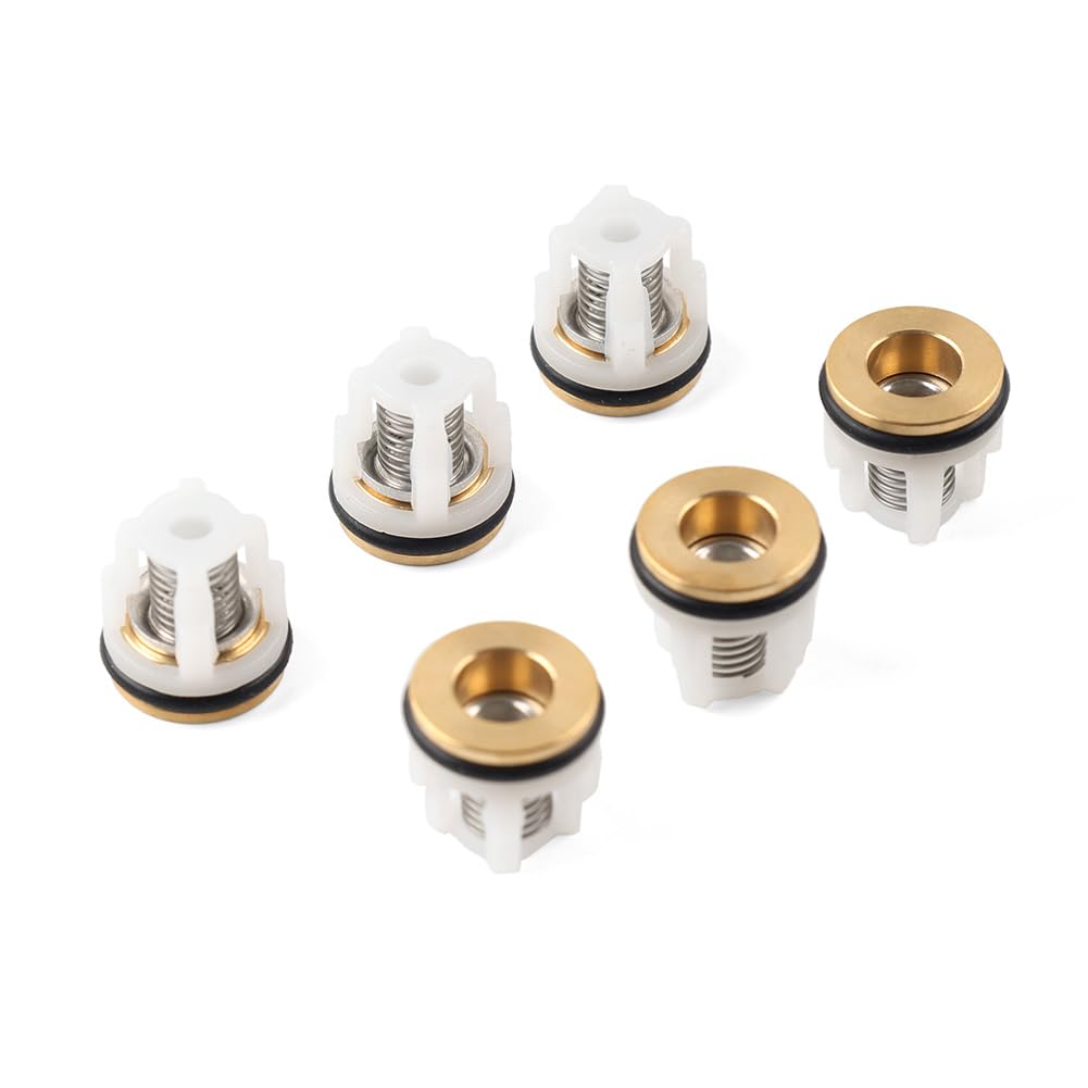 Kit de válvulas Check 42123 para bomba de hidrolavadora Annovi Reverberi RMW SRMV RMV de metal plateado