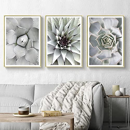 Toile peinture décoration botanique et affiche moderne de plantes pour grand mur intérieur