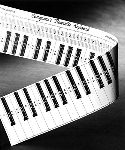 Teaching Aid Kit For Students Learning Piano & Keyboard #TOP4
