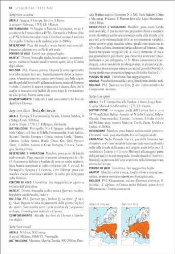 Guida Alle Farfalle D'europa. Ediz. A Colori - 3