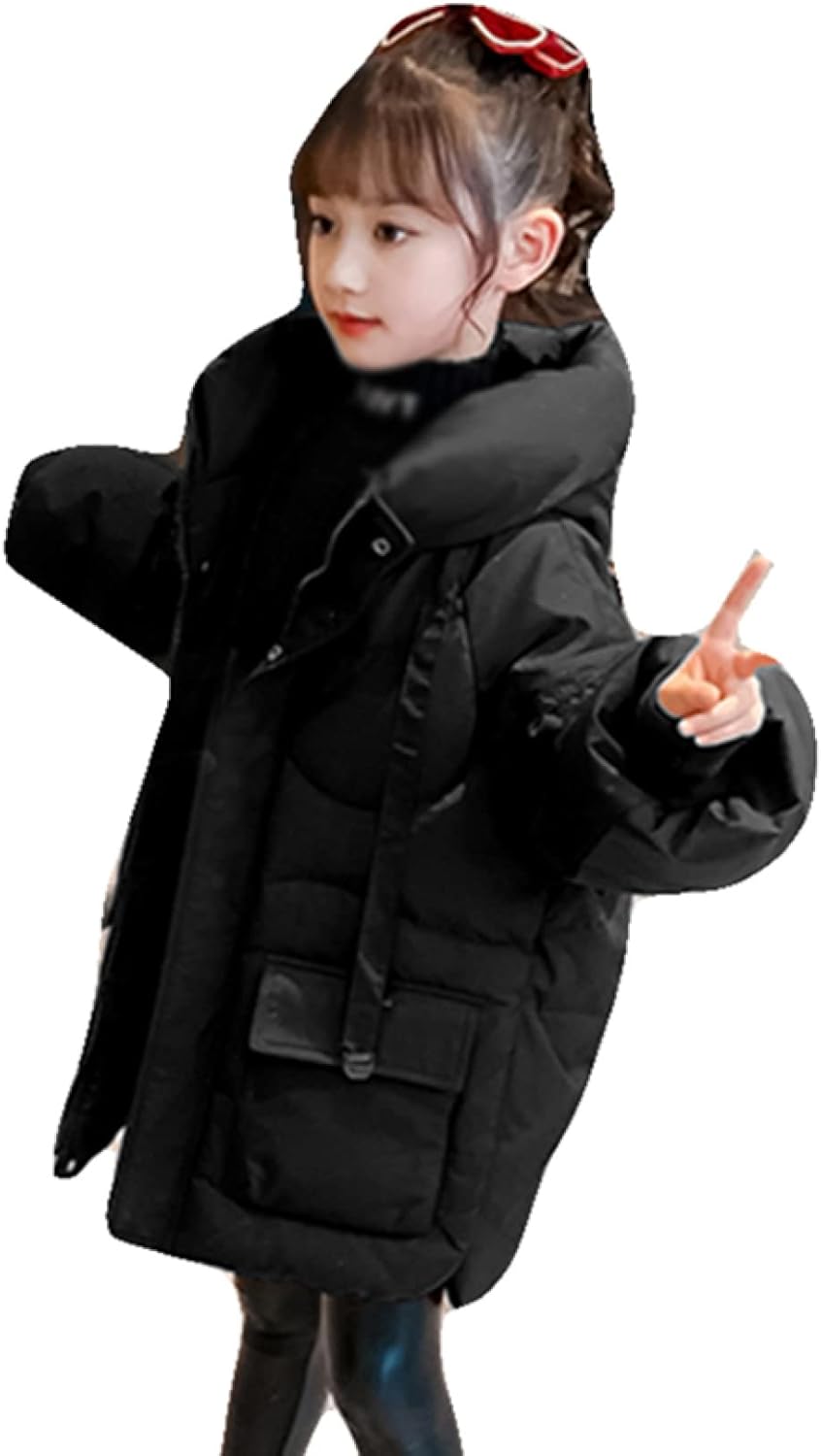 湖東焼赤絵竹林の七賢図油壺 骨董品 アンティーク 湖東焼赤絵竹林の七