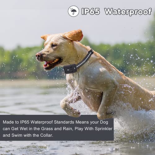 Aicsdco Wireless Dog Fence System,2023 Electric Fence & Training Collar For Dogs, 2 In 1 Pet Containment Fence And Safety Latch Dog Collar For Small,Medium,Large Dog For The Yard #TOP4