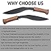 GLORYFIRE Hunting Knife AUS-8 Stainless Anti-Rust Processed Arc Hand Protected Design Fixed Blade Full Tang with Leather Sheath Tactical Field Knife