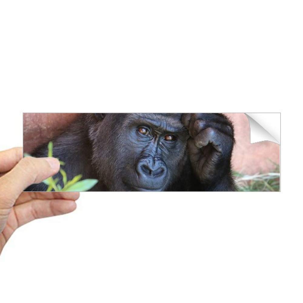 Autocollant rectangulaire animaux sauvages pour pare-chocs et fenêtre de voiture