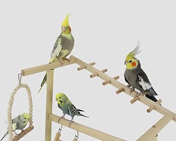 ①シンプルパーチ細め　２本　②吊り橋ウルトラロング　２個　③壁アスレチック　６個 ①シンプルパーチ細め 2本 ②吊り橋ウルトラロング 2個 ③壁