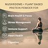 Lakanto Classic Monk Fruit Sweetener with Erythritol 1 lb and ChagaRoot MycoProtein Mushroom Protein Powder Vanilla 1.76 lb