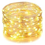 Homestarry Outdoor String Lights,Dimmable LED Starry String lights Perfect for Bedroom,Garden,Party,Indoor and Outdoor Decorations (100LEDs 33ft,Cooper Wire,WarmWhite ,Remote Control)