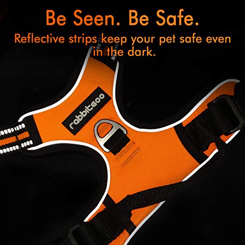 Rabbitgoo Dog Harness, No-Pull Pet Harness With 2 Leash Clips, Adjustable Soft Padded Dog Vest, Reflective No-Choke Pet Oxford Vest With Easy Control Handle For Large Breeds, Orange, L #TOP6