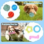 Puppy Toys,21 Pack Dog Toys for Small Dogs,Puppy Teething Toys,Puppy Chew Toys,Squeaky Plush Toys and Rope Toys,Interactive Dog Toys