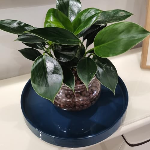 Soucoupe en céramique bleue 30,5 cm d'artisanat d'art durable