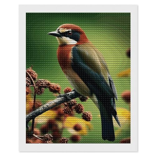 Peinture diamant 5D oiseau débutant : l'activité anti-stress pour votre déco