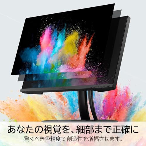 ViewSonic ColorPro VP2456