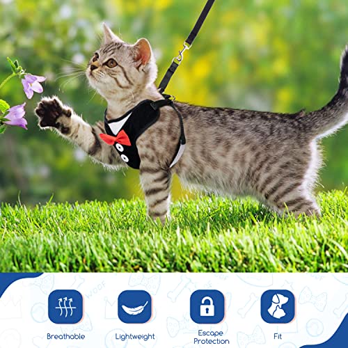 Nobleza Harnais et Laisse pour Chat, Chat Réglable Résistant à l'Évasion, Robes de soirée pour Chiot Chaton des Petits Animaux de Compagnie - Image 5