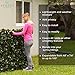 Verseo Artificial Ivy Privacy Fencing System, Faux Ivy Vine & Willow Branch Lattice, Adjustable Ivy Wall Privacy Screen, Expandable Horizontal or Vertical up to 96