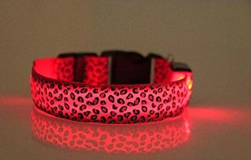 Tam Holm USB Rechargeable LED Dog Collar Cheetah Light The Night Leopard HSH Lifestyle (Medium, Red)