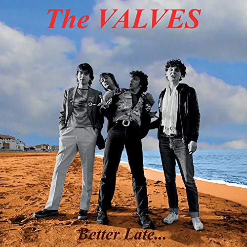 the valves