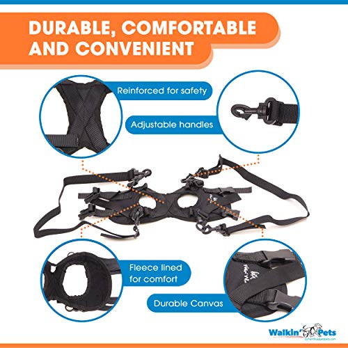 Lift Rear Dog Support Harness | Helps Dogs With Arthritis, Weakness, Joint Injuries Rehab | Adjustable Handles #TOP5