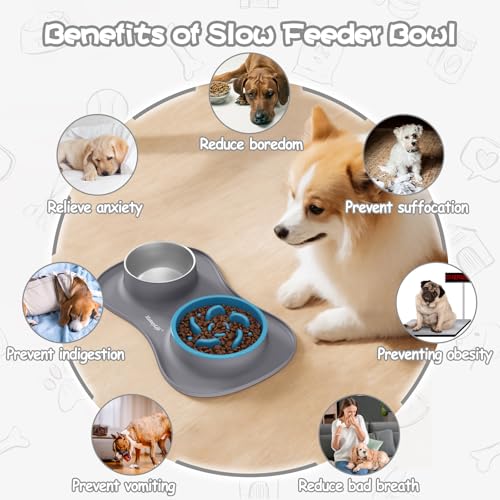 MateeyLife Dog Bowl Slow Feeder Set 3 in 1, Basic Dog Food Bowl, Stainless Steel Cat Bowls and Non-Spill Silicone Mat with Stand Set, Slow Feeder Pet Food Bowls for Small, Medium, Large Breeds - Image 4