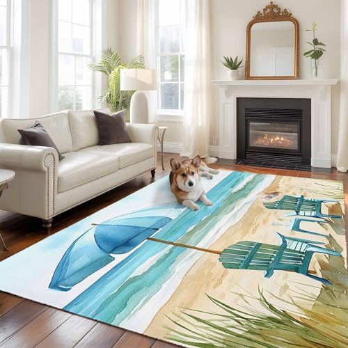 Living Room Rug 5x7 Teal Beach Washable Non-Slip Carpet