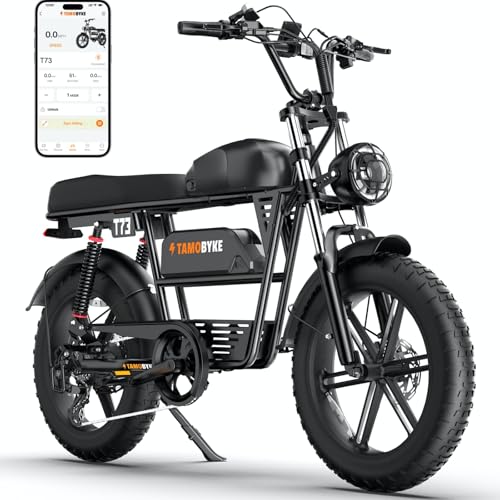 T73Max Dual Battery 48V36AH Ebike