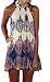 Arctic Flower Summer Sleeveless Halter Neck Keyhole Back Swing Beach Wear Mini Sun Dress