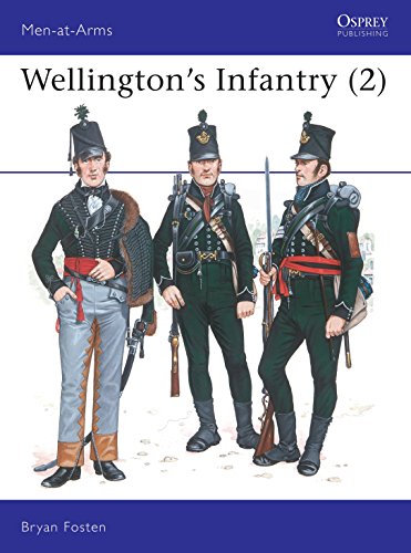 Wellington's Infantry view 2