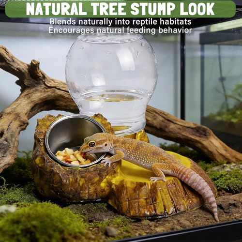 Genérico Portable Reptile Feeding Bowl, Sturdy Water Dish for Pets, Non Spill Reptile Container, Terrarium Accessory with Shallow Design, Pet Care Tool with, Enclosure Bowl for Bearded Drago-5