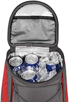 disney insulated backpack