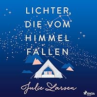 Lichter, die vom Himmel fallen Hörbuch